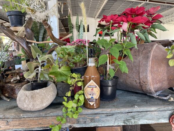 Licor de mezcal de tamarindo - Image 2